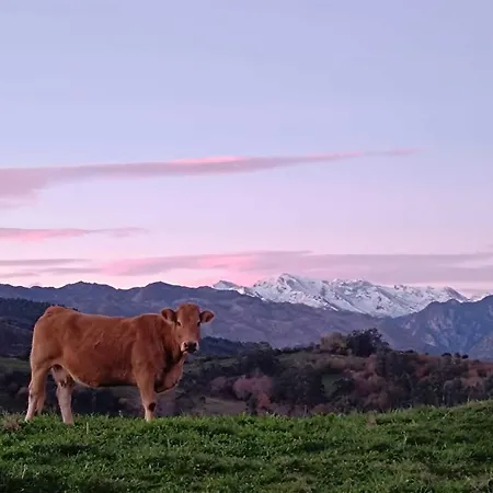 Casa Brisa Cantabrica - Family House - Prázdninový dům *