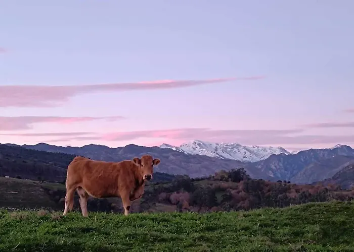 Casa Brisa Cantabrica - Family House - Prázdninový dům *